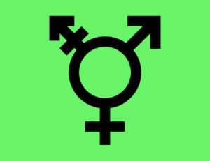 1024Px Israeli Transgender Flag Svg