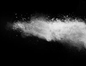 Shutterstock 708897742