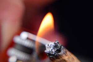 Image from rawpixel id 6043300 jpeg